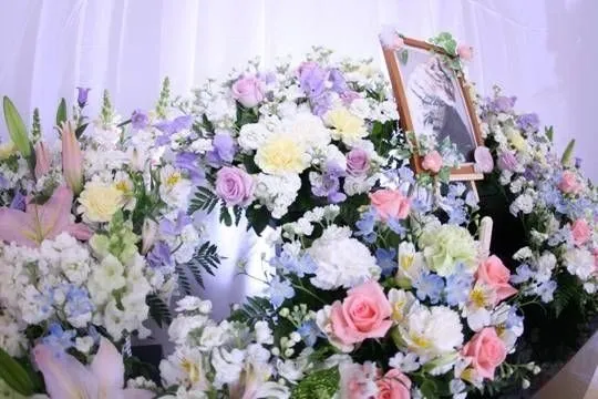 11万円プラン「なごみ」