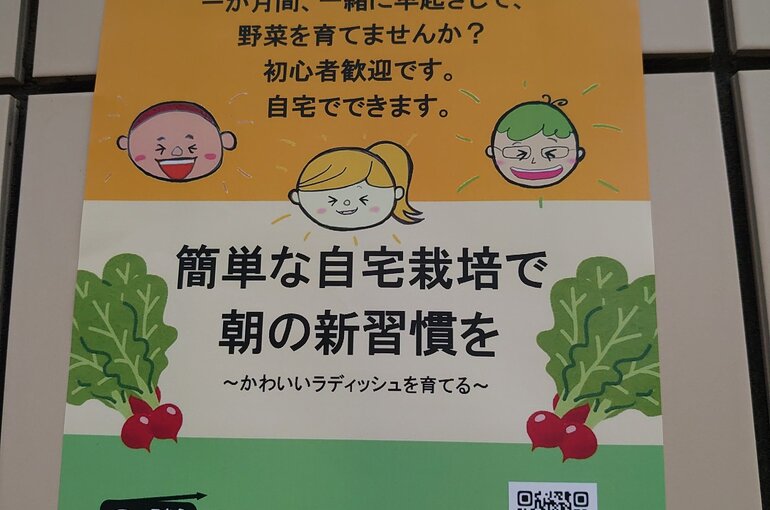 higa2